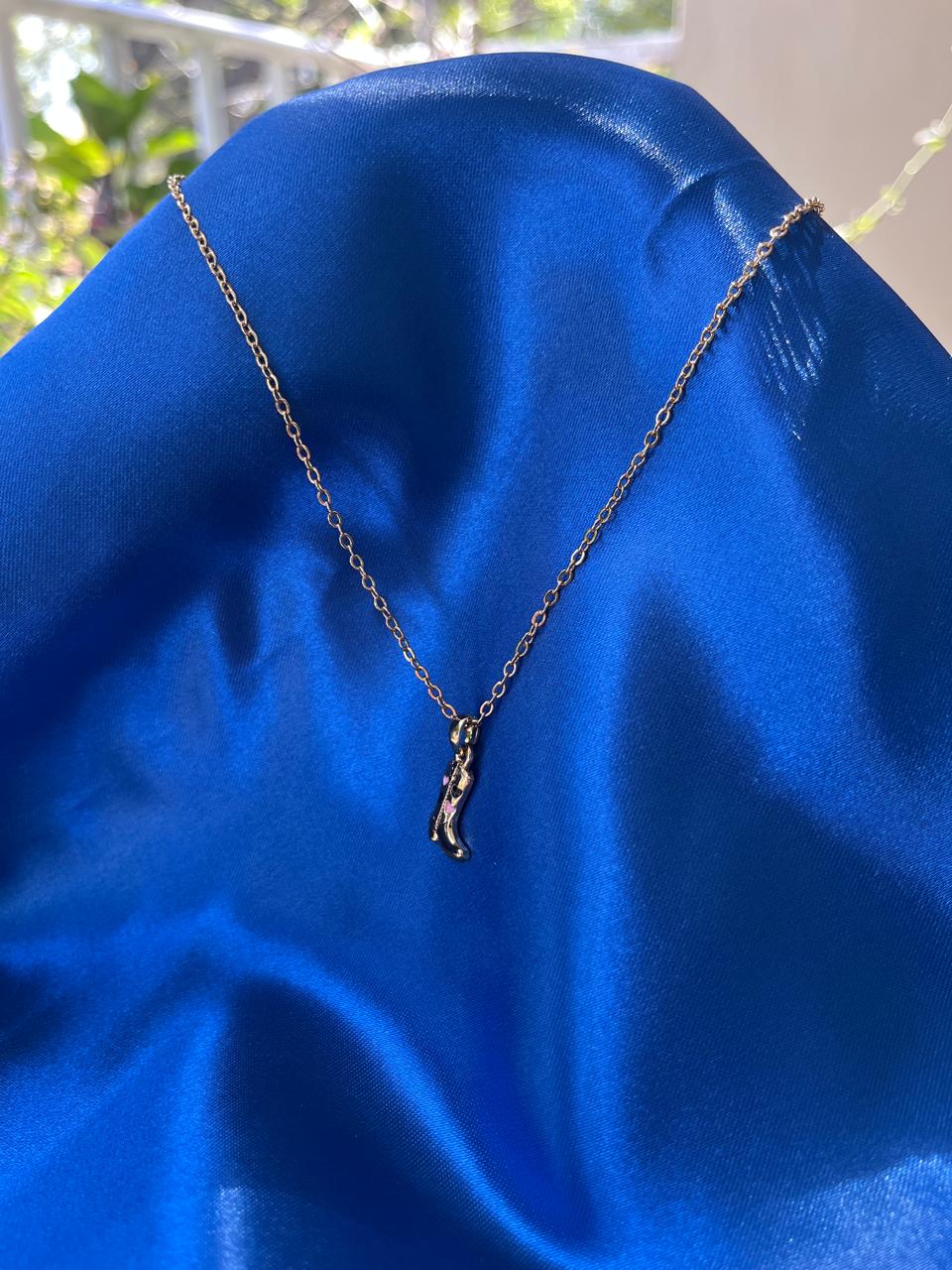 COLLAR DE BOTA BAQUERA